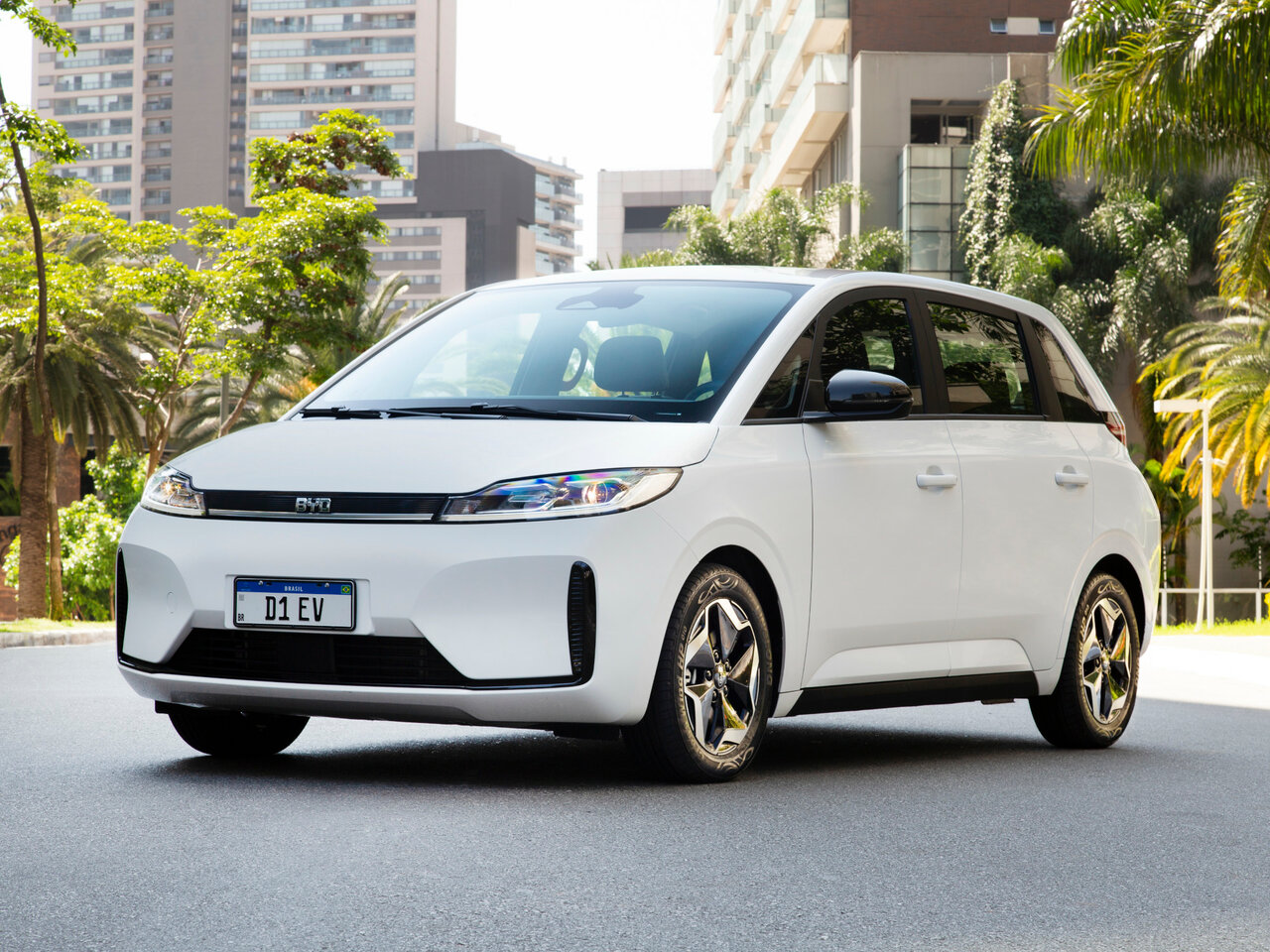 BYD D1 I, компактвэн