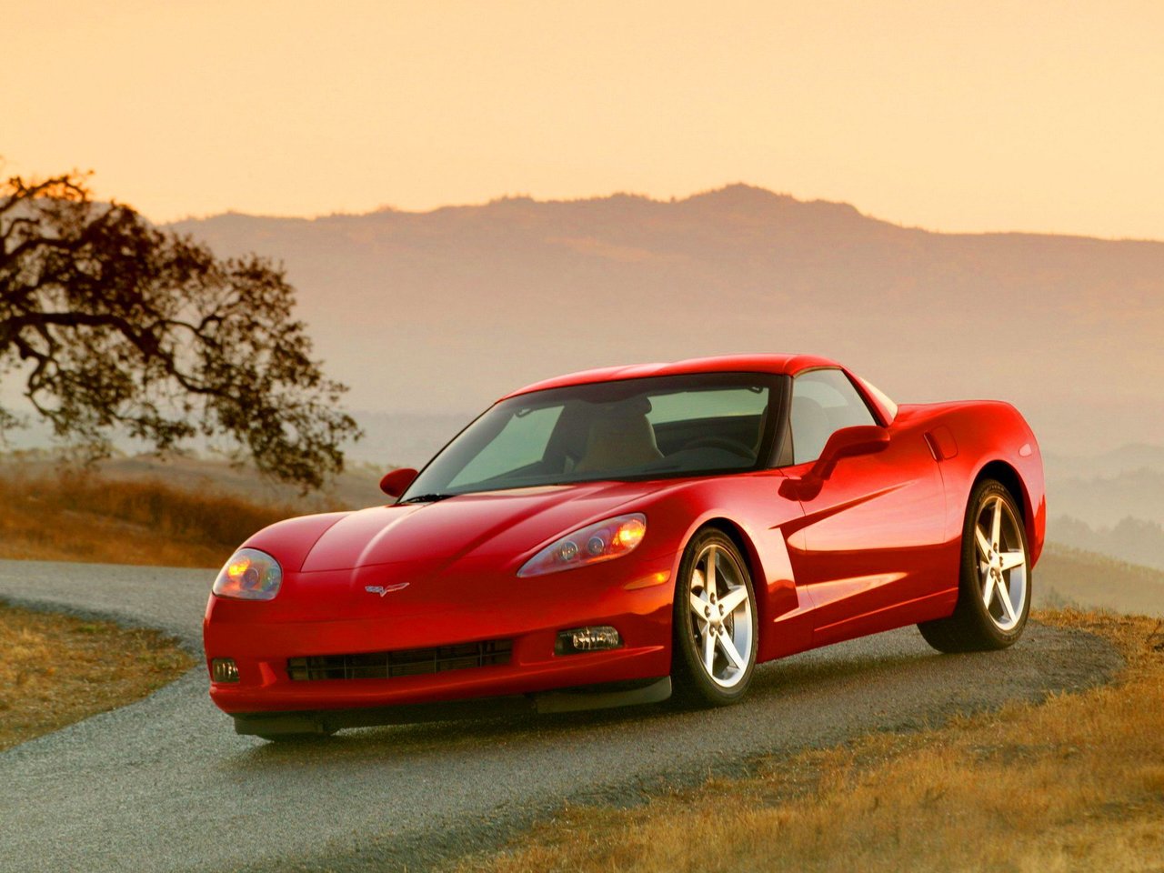 Chevrolet Corvette C6, тарга