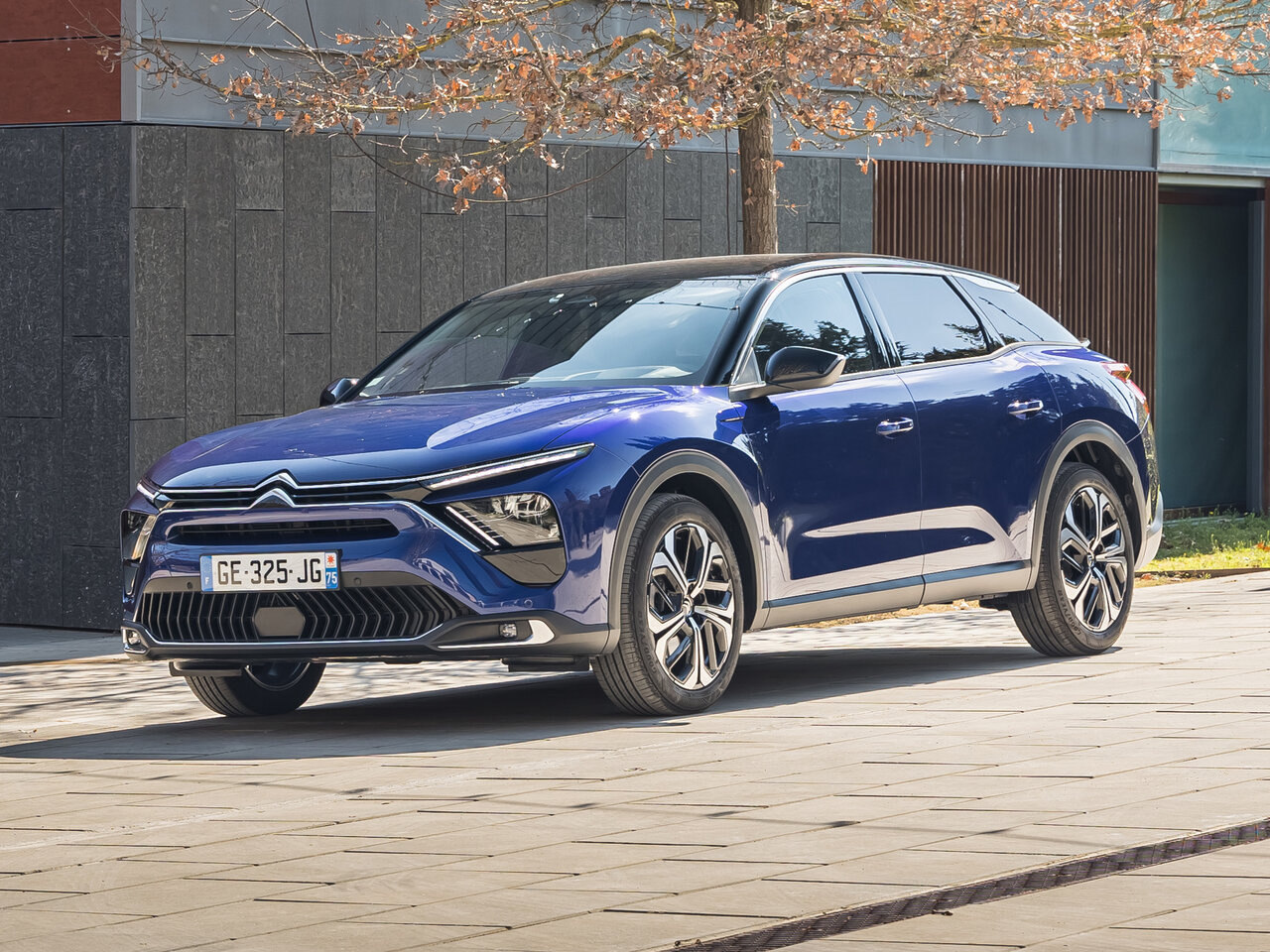 Citroen C5 X I, внедорожник 5 дв.