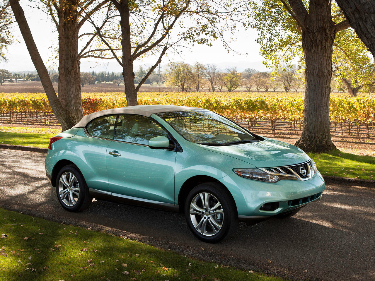 Nissan Murano II (Z51) Рестайлинг 2, кабриолет