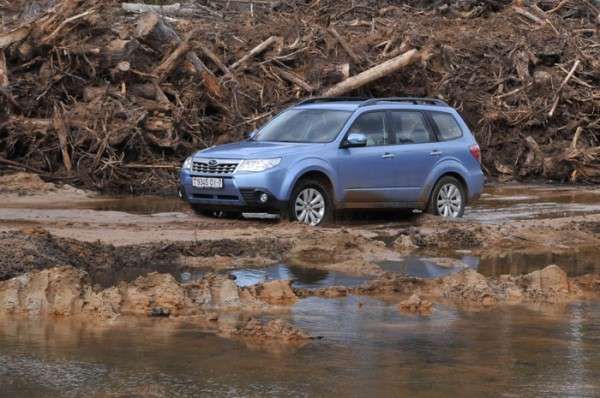 Subaru Forester: из леса уходит "лесник"?