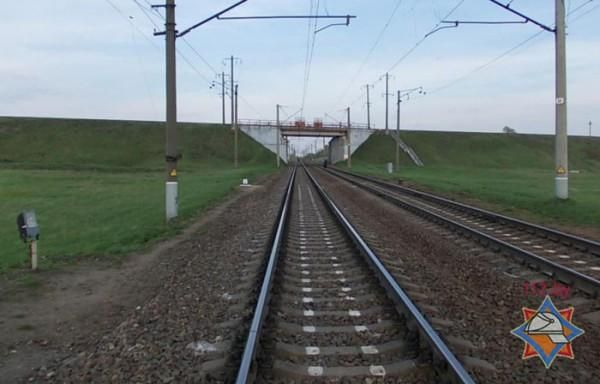 В Оршанском районе пенсионер на VW столкнулся с поездом Париж - Москва