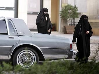 Автомобилистка в ОАЭ собрала штрафов на четверть миллиона долларов