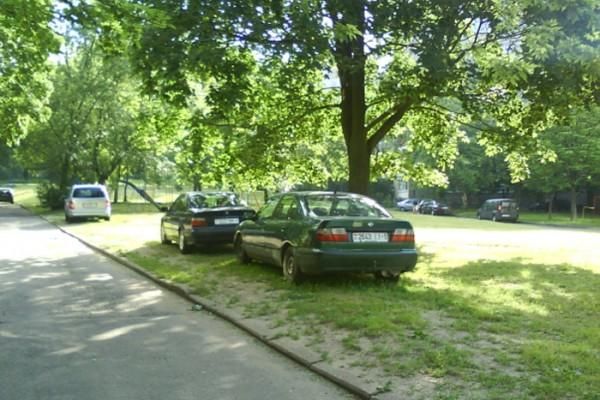 В Гродно появился "Зеленый телефон", на который можно сообщать о парковке авто на зеленой зоне и неблагоустроенных дворах