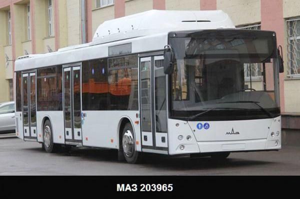 Мэрия Тольятти собирается приобрести сразу 120 газовых автобусов МАЗ 203965