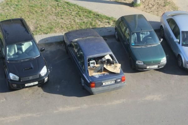 Фотофакт. В заброшенном Opel в Борисове родились котята