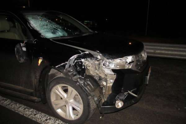 43-летнюю борисовчанку, переходившую трассу М1, насмерть сбил Toyota Highlander