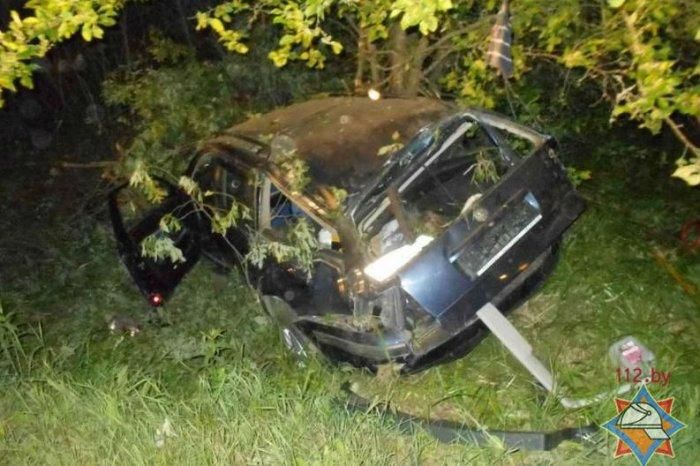 В Калинковичском районе Volkswagen съехал в кювет и ударился в дерево
