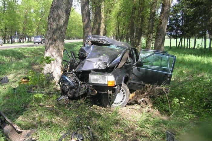 Toyota в лобовую столкнулась с ГАЗелью и вылетела в дерево - водитель погиб, его жена и 4-летняя дочка в больнице