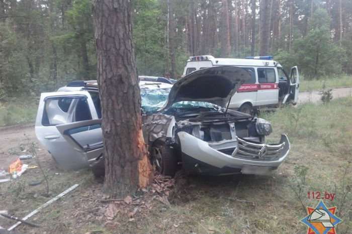 В Гомельском районе Renault Duster ударился в дерево - спасатели извлекли пассажира с переломами ног
