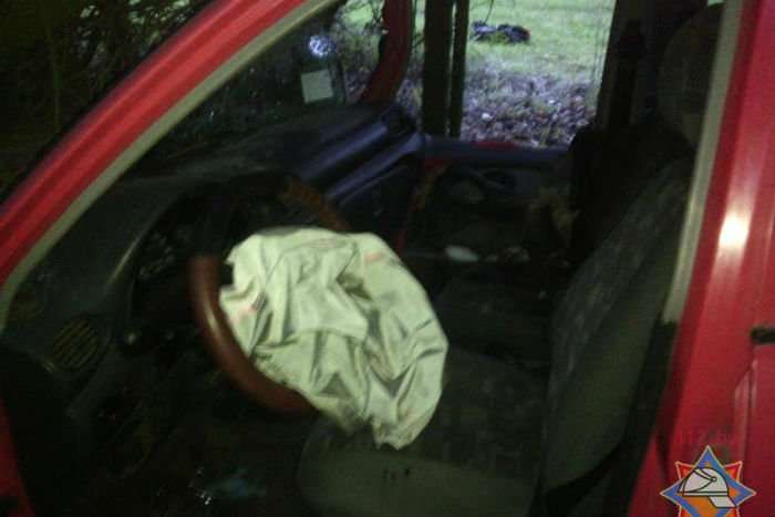 В Шкловском районе Hyundai ударился в дерево - водитель и пассажирка в больнице