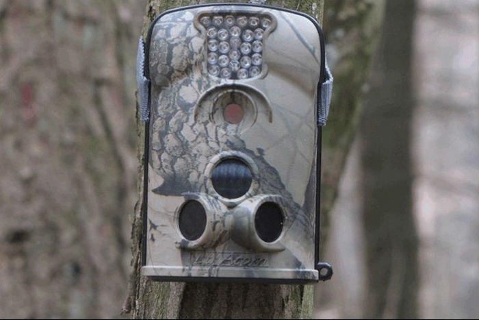 Фото ловушка для дачи Фото ловушка для дачи