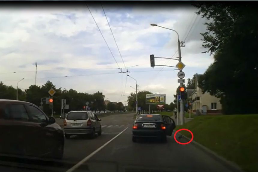 Видеофакт. В Минске из автомобиля на проезжую часть выбросили собаку