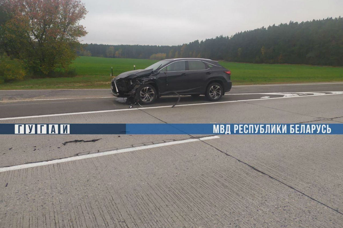 Водитель Lexus на скорости 133 км/ч насмерть сбила двух женщин на трассе М3. Дело передается в суд