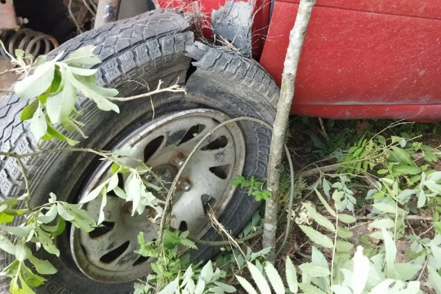 На слуцкой трассе Suzuki вылетел в дерево из-за разгерметизации колеса – погиб водитель