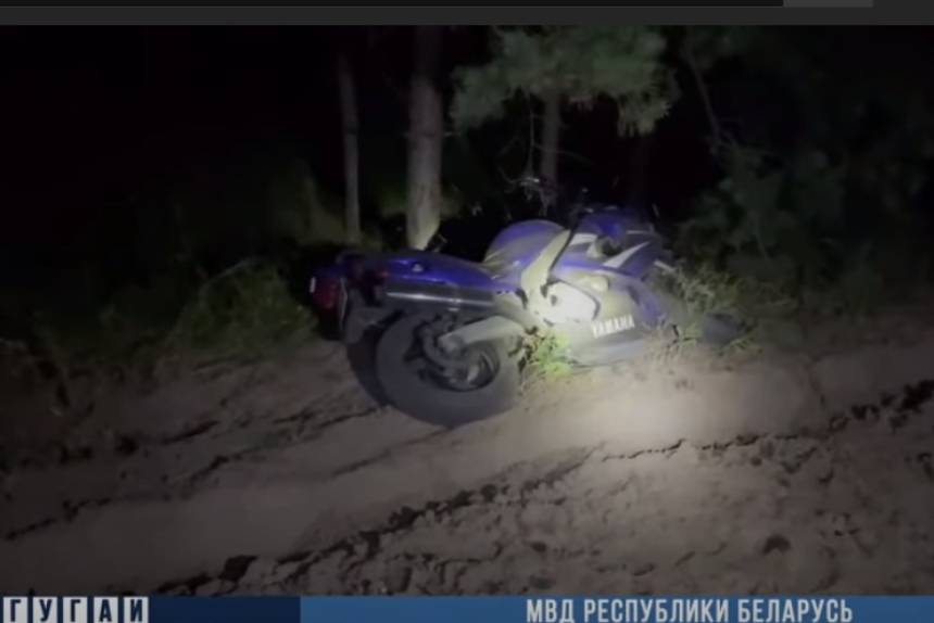 На трассе М10 мотоциклист погиб после столкновения с лосем