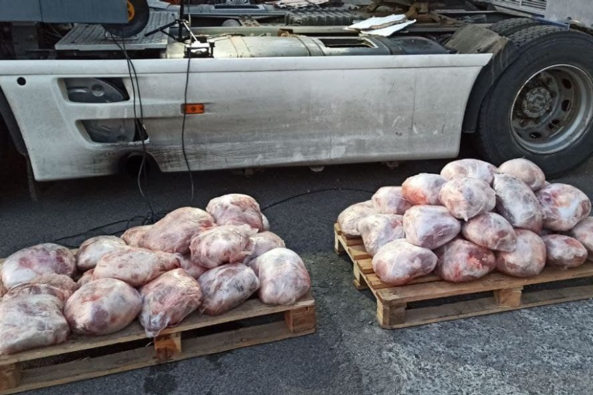 В топливных баках фуры белорусский дальнобойщик вез 760 килограммов мяса из Украины