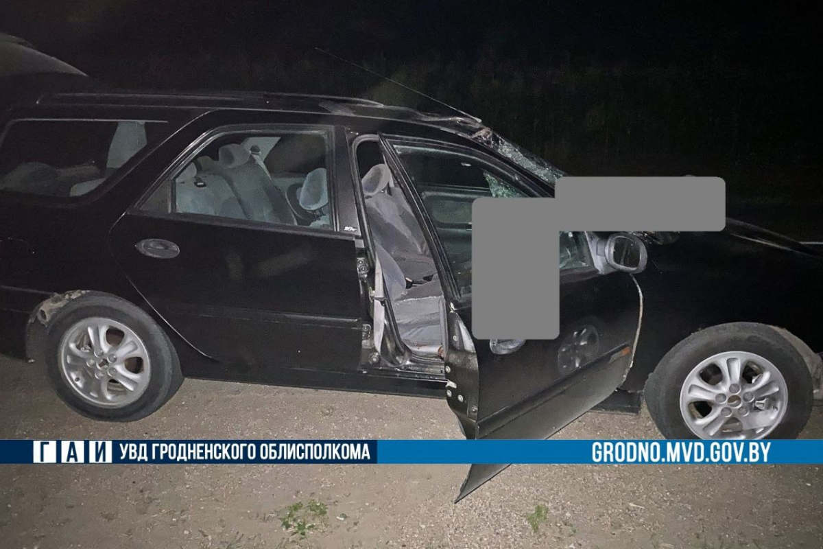 МВД: Renault сбил пешехода, от удара тот влетел через лобовое стекло в салон