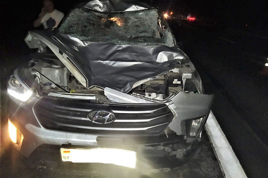 На трассе М4 Hyundai сбил лося – тяжело пострадал 93-летний пассажир