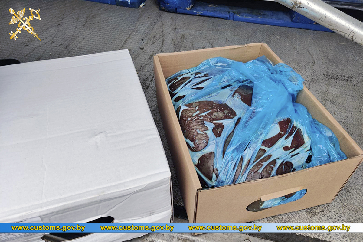 Таможенники не пропустили в Беларусь 20 тонн говяжьей печени, на которую перевозчик предоставил поддельный сертификат