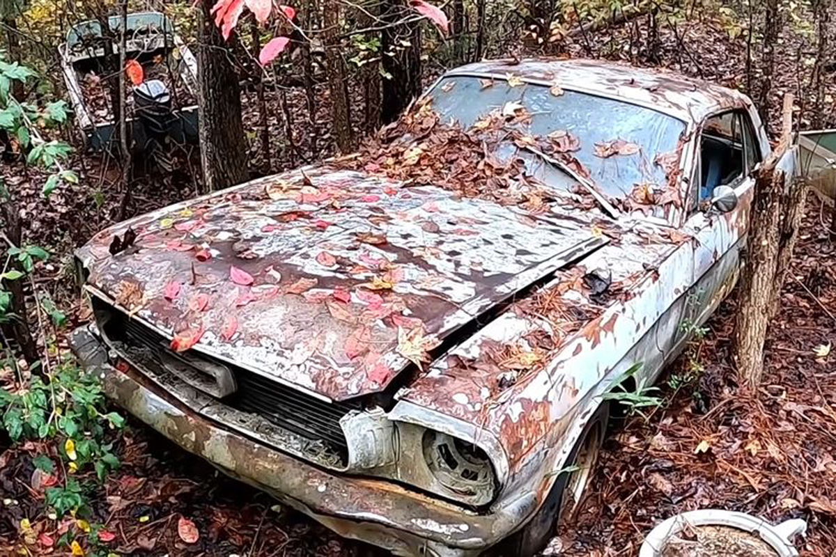 Пастор из США возвращает к жизни брошенные авто. Посмотрите, как он спасает Ford Mustang 1966 года