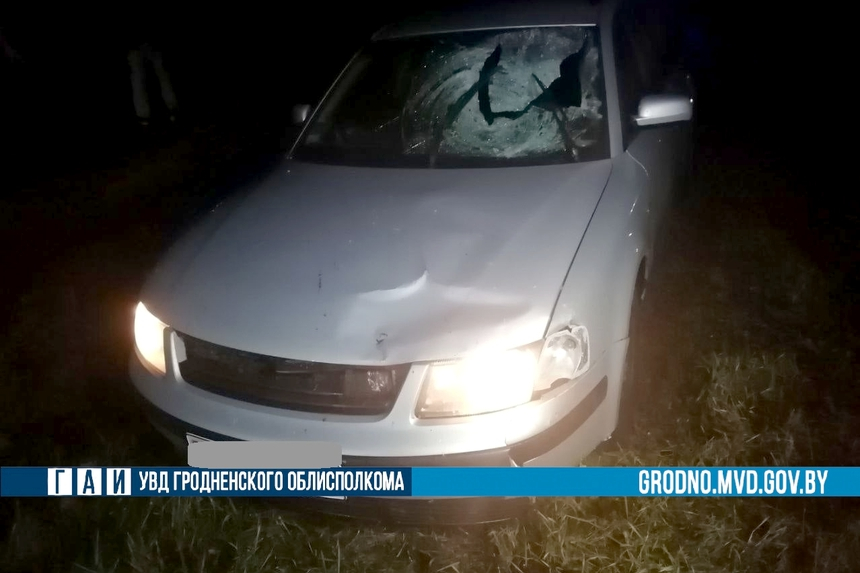 ДТП в Щучинском районе: водитель и пешеход столкнулись лоб в лоб