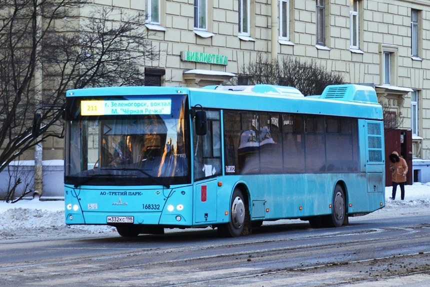 Автобусы МАЗ новой модели начали работать в Санкт-Петербурге