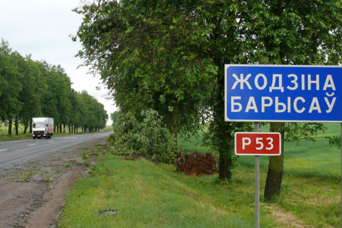 По Беларуси идут грозы. Сильнейший ветер в Смолевичском районе валил деревья и знаки