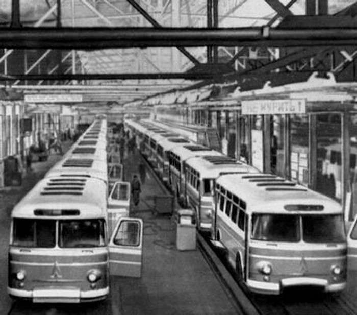 Королева бензоколонки, или История самых стильных советских автобусов ЛАЗ