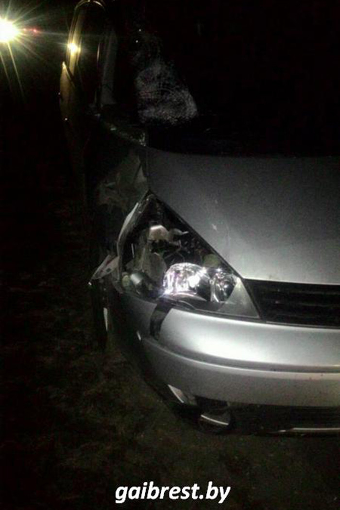 В Малоритском районе под колесами авто погиб пешеход, который шел посередине дороги
