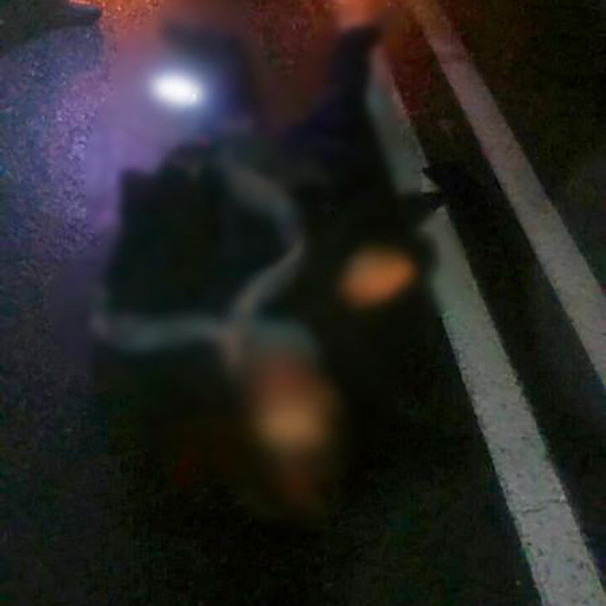 В Лунинецком районе под колесами фуры погиб 20-летний парень, который сидел на дороге