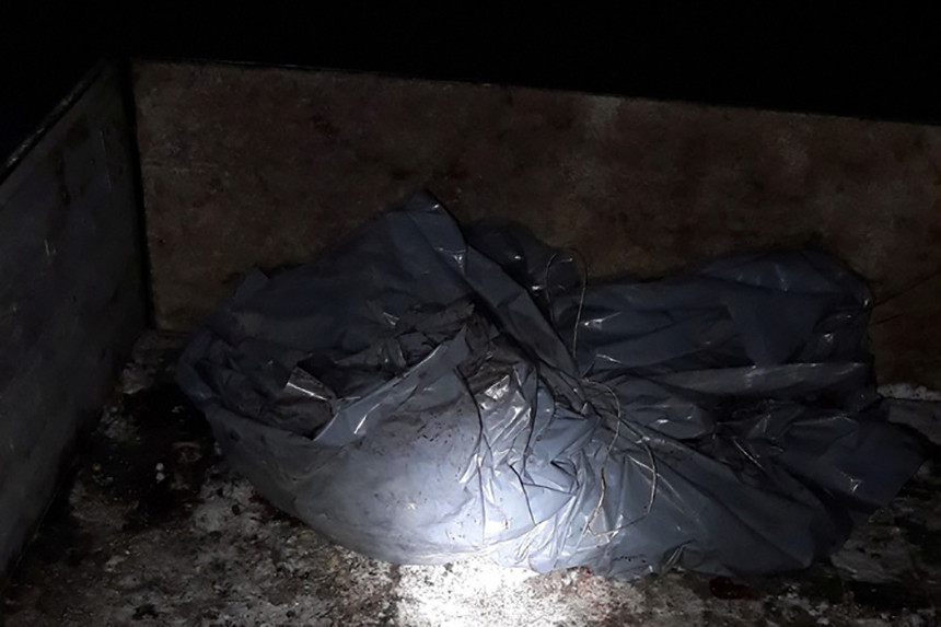 В Светлогорском районе водитель задержан за транспортировку туши кабана