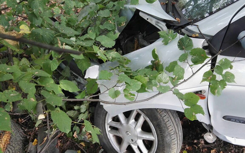 В Барановичах нетрезвый водитель врезался в дерево, уходя от погони