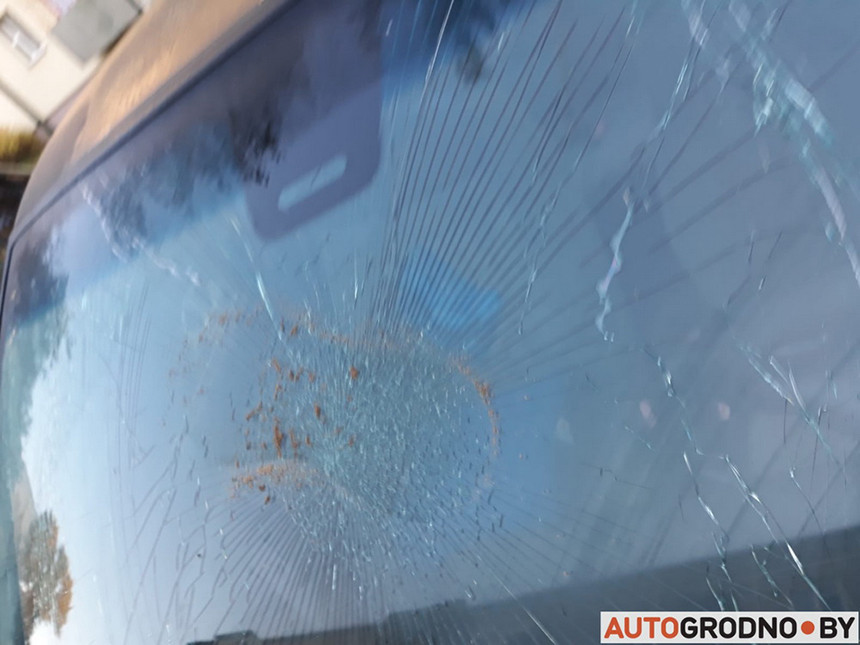 В Гродно мужчина бегал по чужим авто и разбивал лобовые стекла. Пострадало 6 машин, хулигана ищут