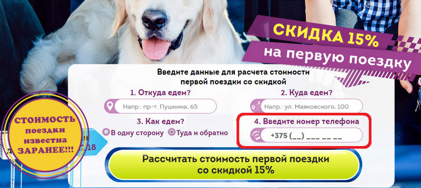 Только один таксист согласился отвезти к врачу травмированную собаку. Все о перевозках животных, если свой автомобиль 