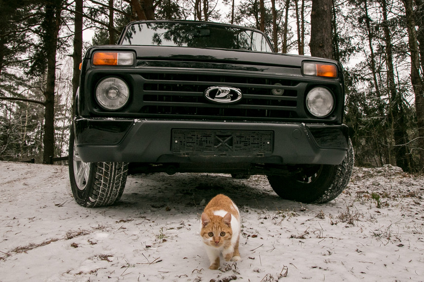 Почему LADA 4x4 идеальна для загородной жизни, или