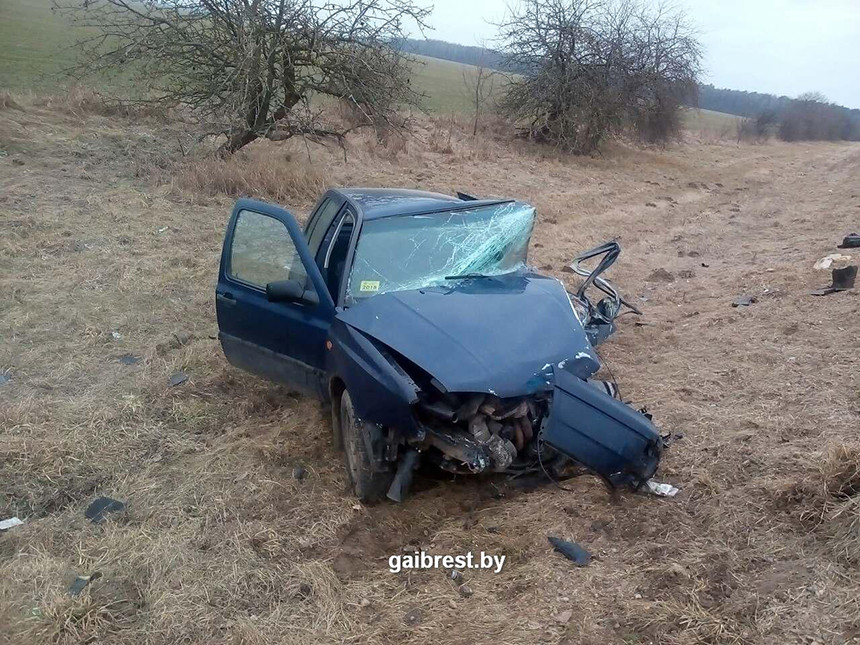 В Каменецком районе произошло лобовое столкновение Volkswagen и молоковоза