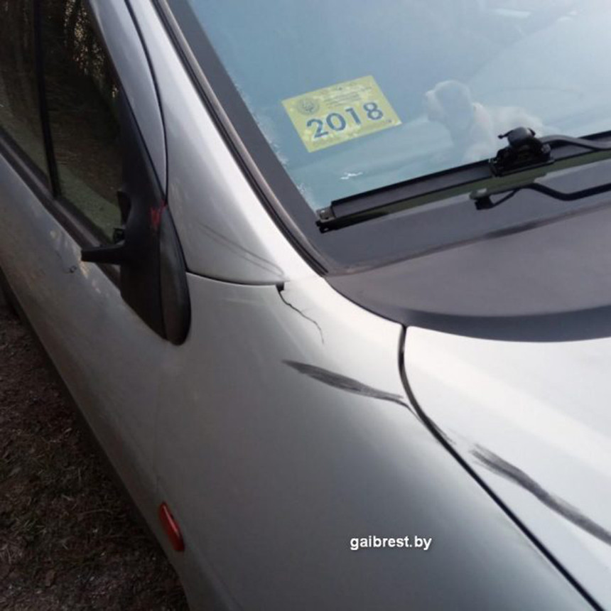 В Ивацевичском районе водитель Renault сбила велосипедиста