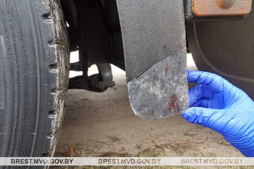 Задержан водитель фуры, совершивший смертельное ДТП в Пинском районе