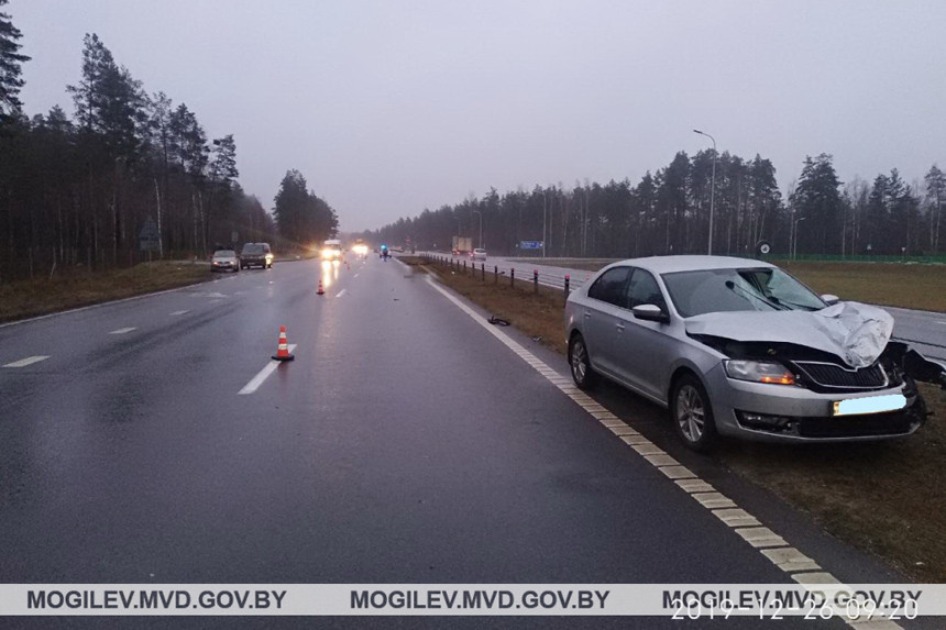 В Осиповичском районе под колесами Skoda погибла пенсионерка