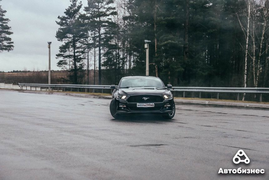 Tesla Model 3 против Ford Mustang: сравнительный тест-драйв и драгрейсинг в Липках