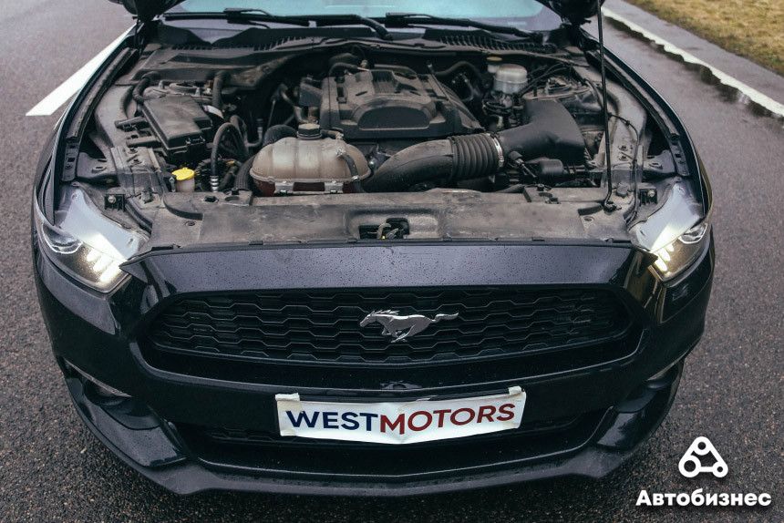 Tesla Model 3 против Ford Mustang: сравнительный тест-драйв и драгрейсинг в Липках