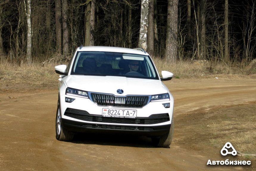 На три года позже Европы - стоило ли ждать? Ищем плюсы и минусы в Skoda Karoq