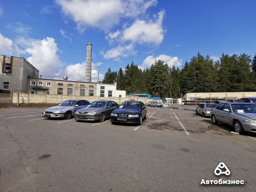 Осыпавшиеся на асфальт пороги, мох на кузове и машины из лизинга. Репортаж из 