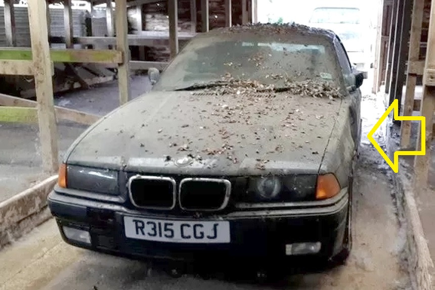 10 лет в курятнике – так жестоко владелец наказал свой BMW за незначительную поломку. Что стало с автомобилем?