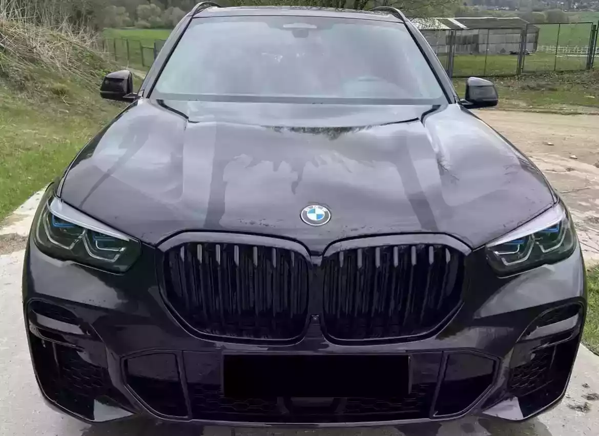 BMW X5 IV (G05), 2022