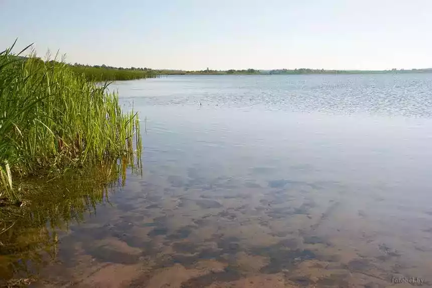 Автомобиль с телом рыбака нашли в озере в Докшицком районе