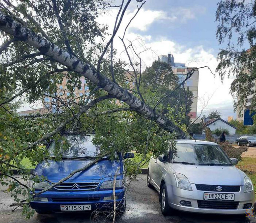 Из-за сильного ветра повреждено 10 автомобилей в Минске