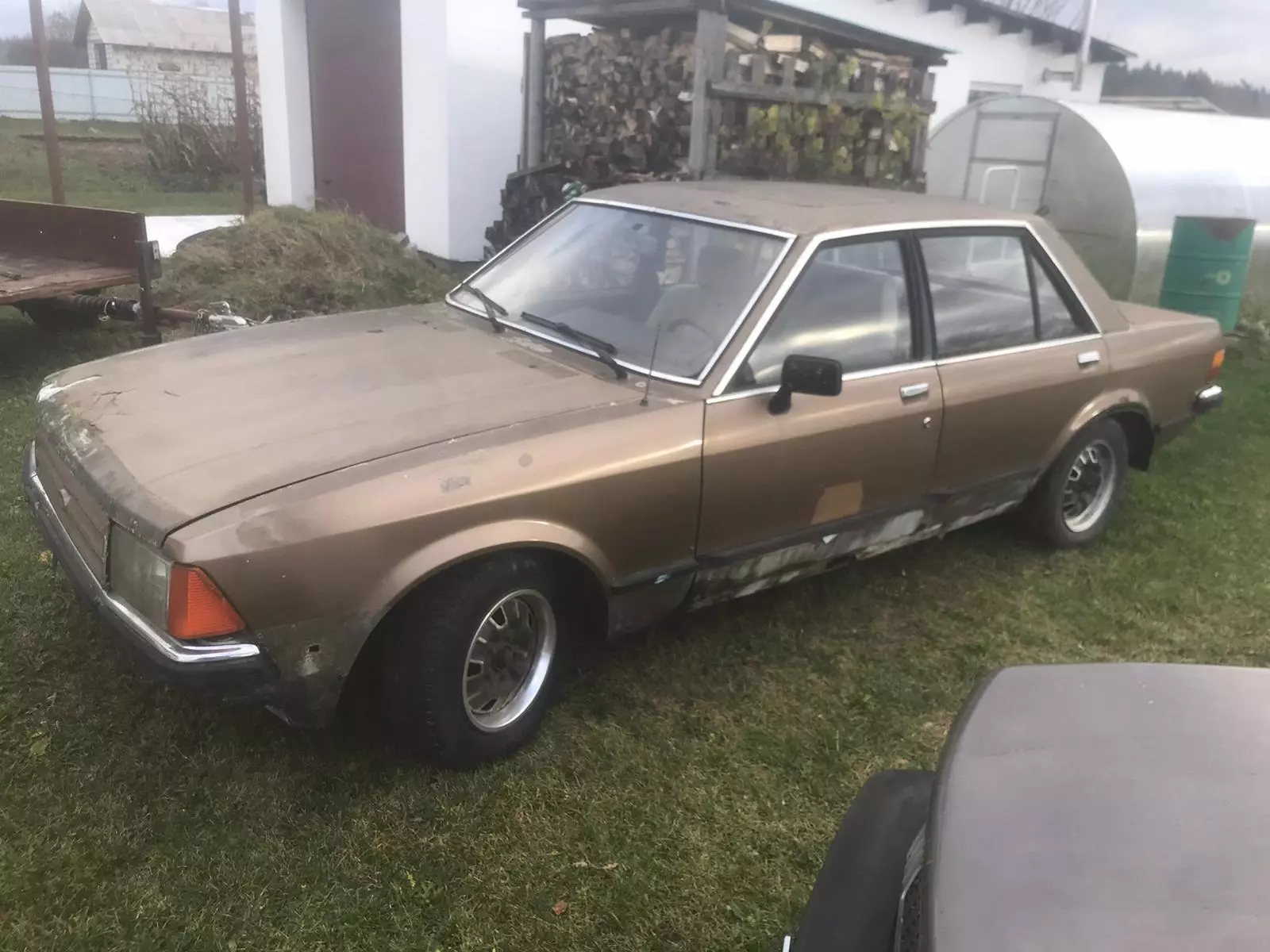 Ford Granada II, 1981