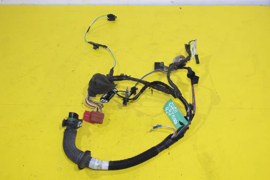 Проводка двери к Renault Scenic 2002